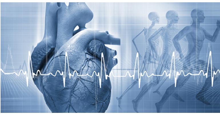 Best Cardiologists in Coimbatore