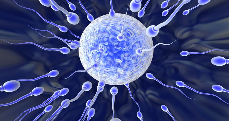 Fertility Clinic In Coimbatore