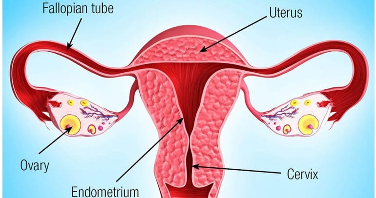 Gynae Oncology Treatments In Coimbatore